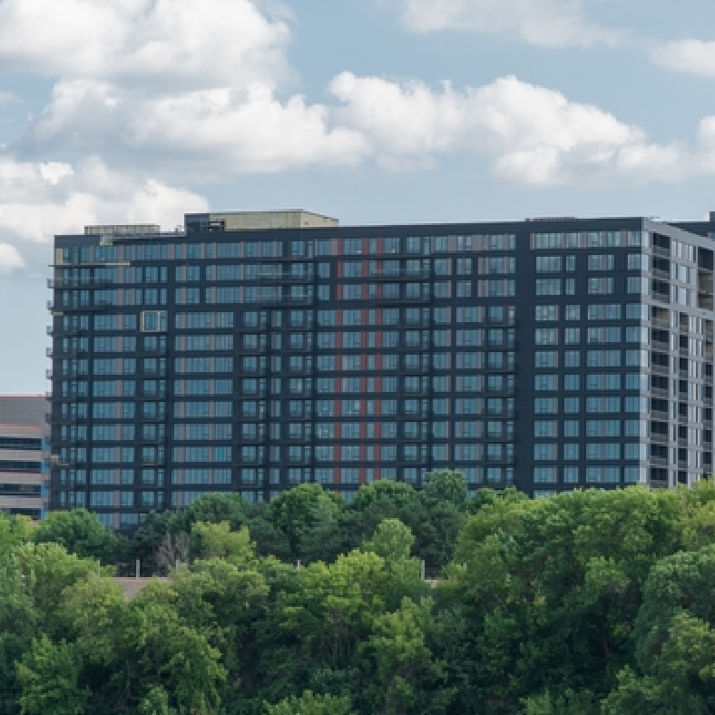 Project View