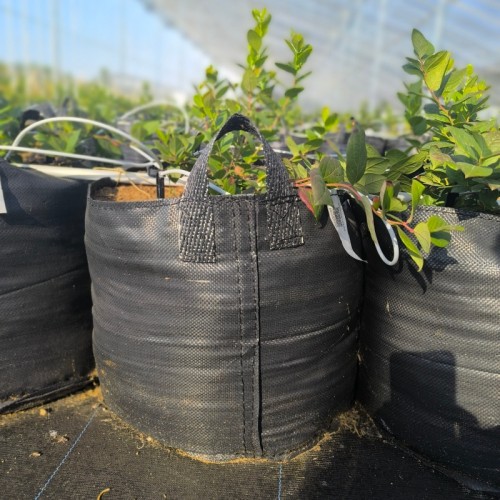 Heavy Duty UV Resistant  PP Woven Fabric 60L Grow Bags For Blueberry Planting |   Premium Quality PP Woven Fabric Planting Containers