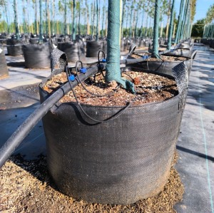 Good Permeability Anti-UV PP 100L Trees Planter Bag For Trees Planting |  Nursery Plant Growing Bags For Mongolian Planting
