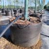 Good Permeability Anti-UV PP 100L Trees Planter Bag For Trees Planting |  Nursery Plant Growing Bags For Mongolian Planting