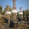 High Strength Anti-UV 130L PP Woven  Grow Bags For Bottle Shaped Trees|  Nursery Plant Growing Containers