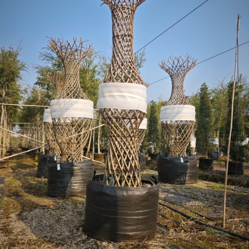 High Strength Anti-UV 130L PP Woven  Grow Bags For Bottle Shaped Trees|  Nursery Plant Growing Containers