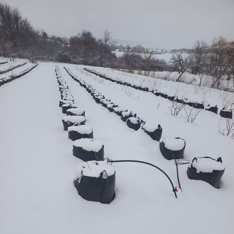 55 liters blueberry grow bags in Bulgaria Snowy day