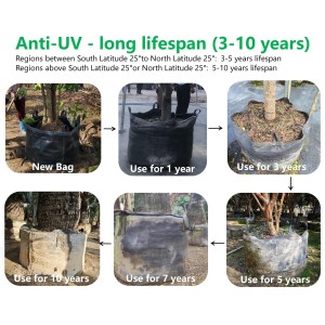 no-photo How UV Resistance Affects the Service Life of Grow Bags: A Complete Guide for Nurseries and Growers