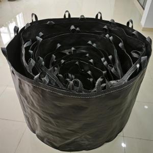 Bolsas de cultivo vs. macetas de plástico: ¿Qué recipiente es mejor para el crecimiento de las plantas?