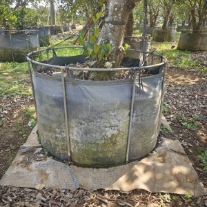 Bolsas de cultivo resistentes a los rayos UV para condiciones climáticas extremas: soluciones para zonas desérticas, tropicales y costeras.