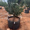 How to Fill a Heavy Duty Grow Bag Quickly and Easily: A Practical Solution from Our Customer