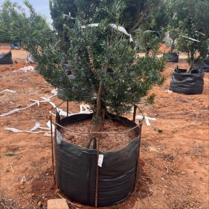 How to Fill a Heavy Duty Grow Bag Quickly and Easily: A Practical Solution from Our Customer