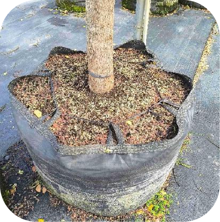 Photo of HOKBG high-strength, UV-resistant planting bags after three years of use.