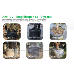 Choosing the Right PP Woven Grow Bags for Different Climates and Sunlight Conditions