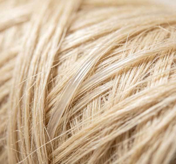 Close-up of natural linen fibers showing the long, smooth bast fibers after hackling, raw flax fibers separated and combed, macro photography, neutral background, warm beige tones, texture detail