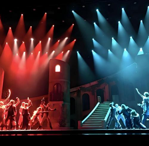 Drama & Stage Performance Cases