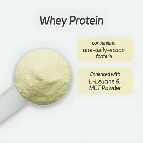 Whey Protein Powder | Supports Muscle Recovery| Fitness Specialized | Supports OEM/ODM