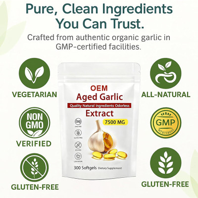 Aged Garlic Softgels | Premium Odorless Formula | Supports Daily Immune Health|OEM/ODM