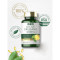 Oregano Oil Softgels|Contains Natural Carvacrol|4000mg Oregano Oil|Non-GMO & Gluten-Free|OEM/ODM