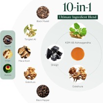 Alpha Gummies | 10-in-1 Sugar-Free, Vegan, Premium Formula | With Tongkat Ali + Ashwagandha|OEM/ODM