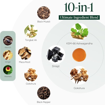 Alpha Gummies | 10-in-1 Sugar-Free, Vegan, Premium Formula | With Tongkat Ali + Ashwagandha|OEM/ODM