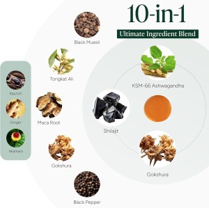 Alpha Gummies | 10-in-1 Sugar-Free, Vegan, Premium Formula | With Tongkat Ali + Ashwagandha|OEM/ODM