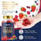 Whey Protein Gummies | Vegetarian Protein Supplement | Berry Flavor|Supports Daily Vitality|OEM/ODM