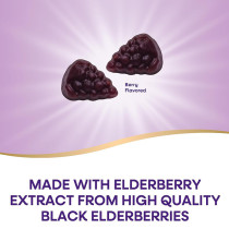 Elderberry Gummies | Formulated with Zinc, Vitamin C, and Vitamin D3 | Berry Flavor|OEM/ODM