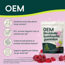 Probiotic Kombucha Gummies | Berry Flavor | Gluten-Free | Daily Digestive Support|OEM/ODM