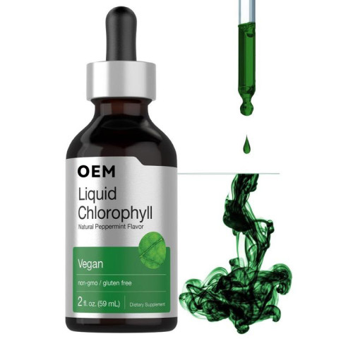 Liquid Chlorophyll Drops | Natural Mint Flavor, Vegan Formula | Supports Daily Freshness|OEM/ODM