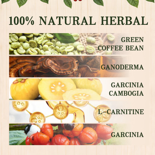 Reishi Green Coffee | Herbal Formula | Individually Wrapped Sticks | Contains Reishi |OEM/ODM