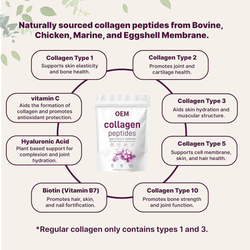 Compound Collagen Peptide Powder|Odorless, Easy-to-Dissolve Formula | With Biotin, Vitamin C|OEM/ODM