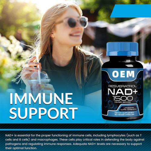 NAD+ Nutritional Capsules|Formulated with Resveratrol|Liposomal Form|Supports Daily Vitality|OEM/ODM