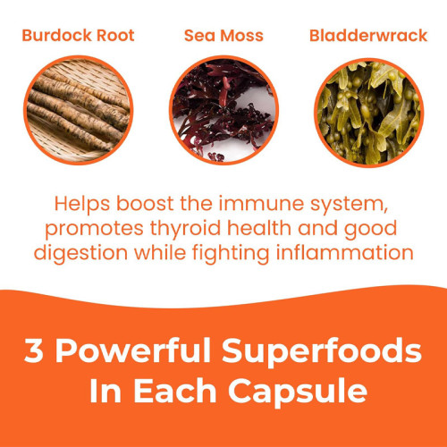 Seaweed Complex Nutritional Capsules | Formulated with Burdock Root | Vegetarian-Friendly|OEM/ODM