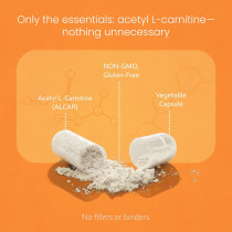 Acetyl L-Carnitine Capsules | Premium ALCAR Formula | Gluten-Free, Vegetarian Capsules|OEM/ODM