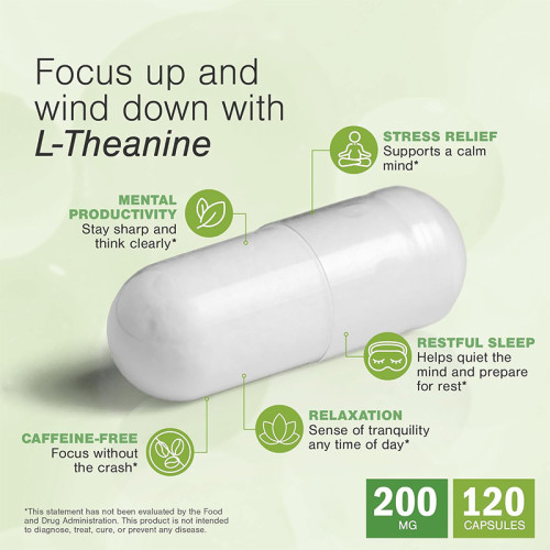 L-Theanine Vegetarian Capsules | Caffeine-Free Formula | Non-GMO Plant-Based Capsules|OEM/ODM