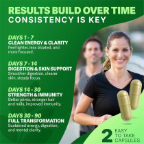 Moringa Herbal Capsules | Natural Multi-Nutrient Plant Formula | Multivitamins & Amino Acids|OEM/ODM