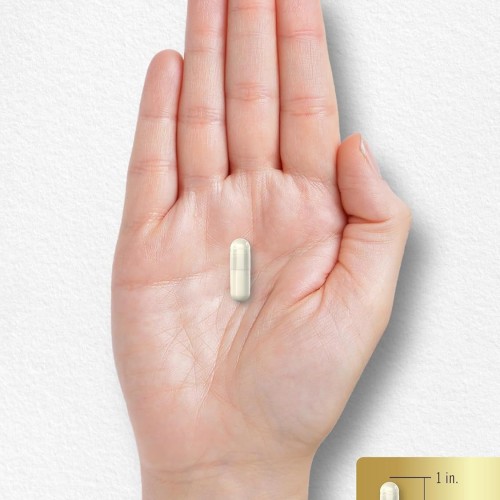 Nitric Oxide Capsules|L-Arginine + L-Citrulline Blend | Sports Nutrition Dietary Supplement|OEM/ODM
