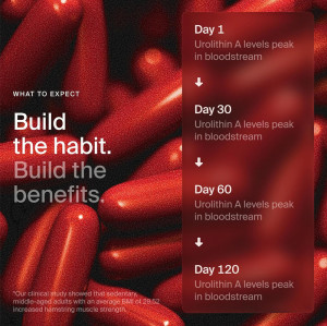 Urolithin A Softgels | Mitochondrial Botanical Nutrition Formula | Dietary Supplement|OEM/ODM