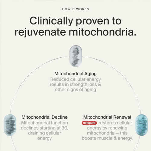 Urolithin A Softgels | Mitochondrial Botanical Nutrition Formula | Dietary Supplement|OEM/ODM