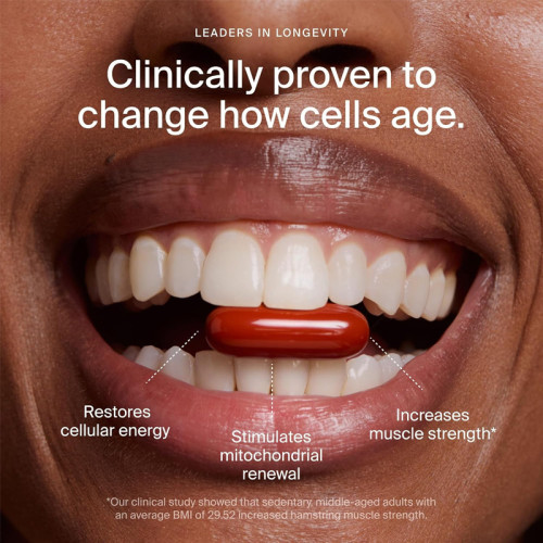 Urolithin A Softgels | Mitochondrial Botanical Nutrition Formula | Dietary Supplement|OEM/ODM