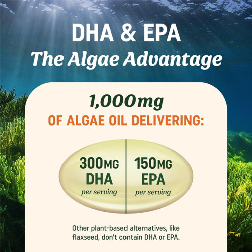 Vegan Algal Oil Omega-3 Softgels | Plant-Based DHA + EPA Formula |Carrageenan-Free & Non-GMO|OEM/ODM