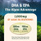 Vegan Algal Oil Omega-3 Softgels | Plant-Based DHA + EPA Formula |Carrageenan-Free & Non-GMO|OEM/ODM