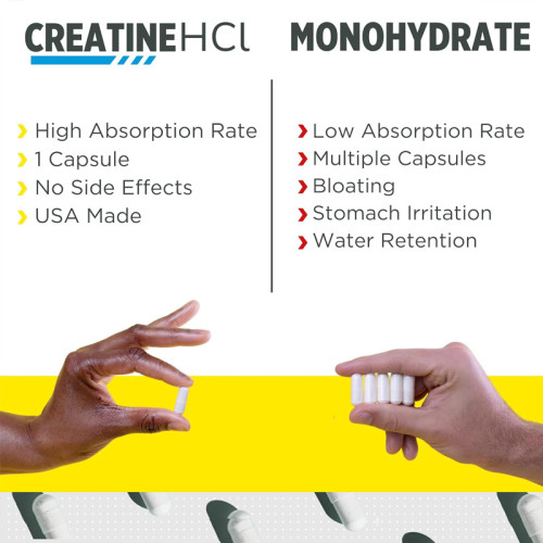 Creatine Hydrochloride Capsules| High-Bioavailability HCl Creatine Formula | Vegetarian|OEM/ODM
