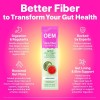 混合水果益生菌粉 | 胶原蛋白+电解质混合物 | 呵护肠道健康 | OEM/ODM