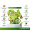 Apple Fiber and Probiotic Powder| Mixed Fruit & Vegetable Fiber Powder | Probiotic Formula|OEM/ODM