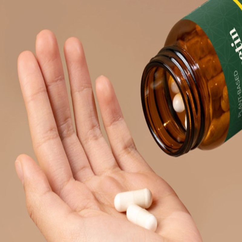 The Essential Guide to Plant-Based Capsules: Why They're Replacing Traditional Options.