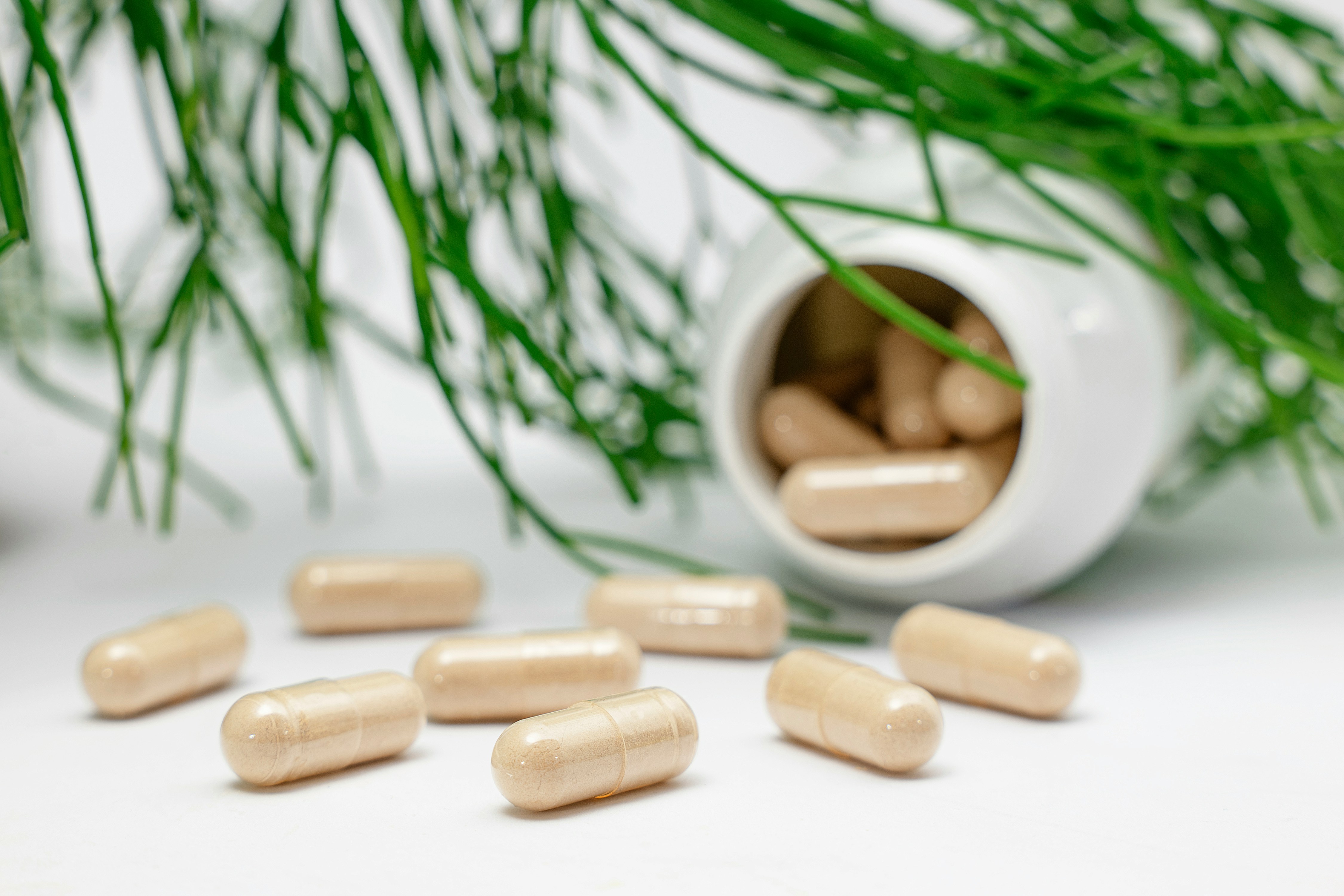 Supplement capsules