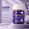 GABA Sleep Support Gummies | Sugar-Free Style | GABA & L-Theanine Formula | Sleep Wellness | OEM/ODM
