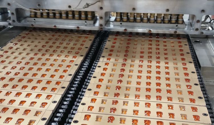 gummy supplement production