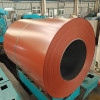 Prepainted steel coil PPGL/PPGI