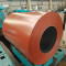 Prepainted steel coil PPGL/PPGI