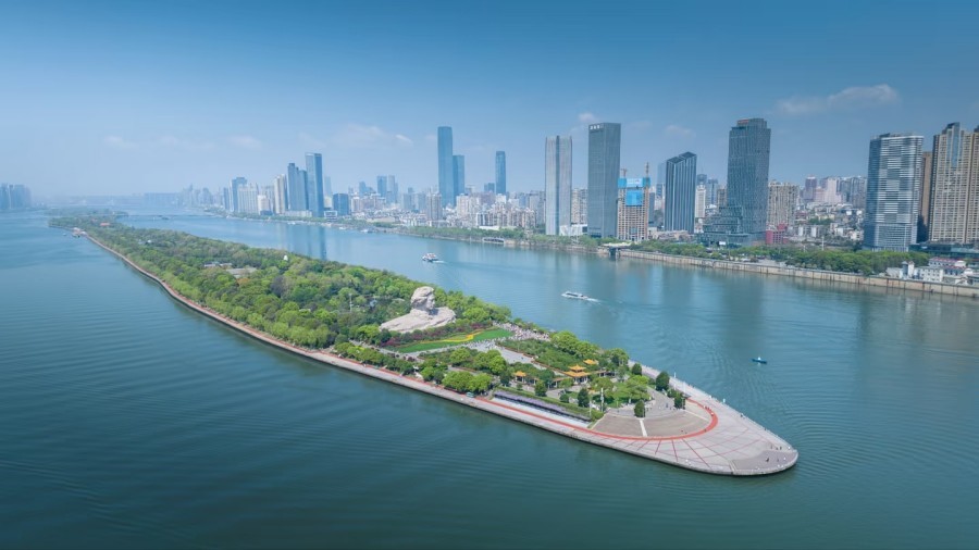 Bloom Supply Chain Co-work & Symbiosis Forum Concludes Successfully in Changsha