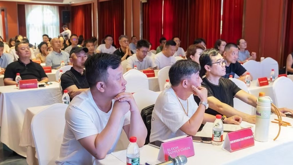 Hunan-Africa Trade and Multi-region Expansion Plan Unveiled